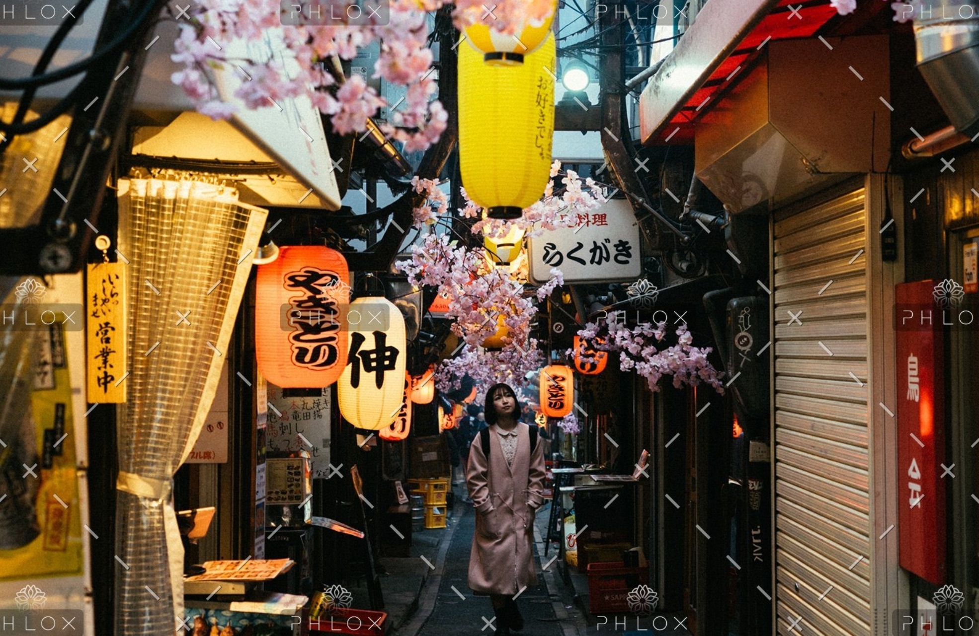 demo-attachment-30-astemir-almov-1553930-unsplash